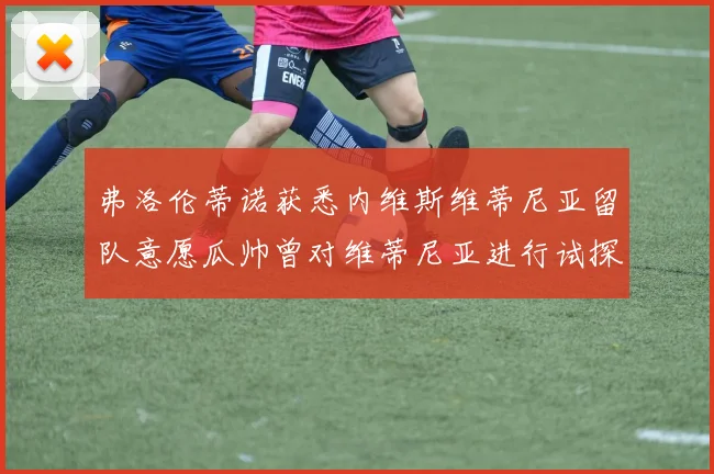 弗洛伦蒂诺获悉内维斯维蒂尼亚留队意愿瓜帅曾对维蒂尼亚进行试探
